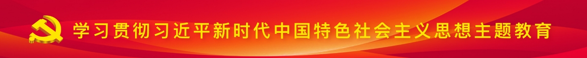 学习贯彻习近平新时代中国特色社会主义思想主题教育