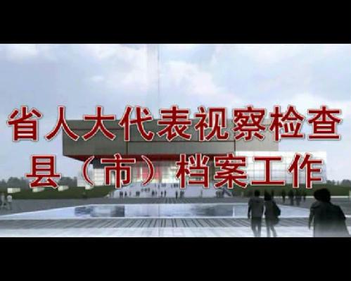 省人大代表视察检查县（市）档案工作