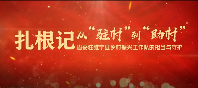 扎根记:从“驻村”到“助村”——省委驻睢宁县乡村振兴工作队的担当与守护